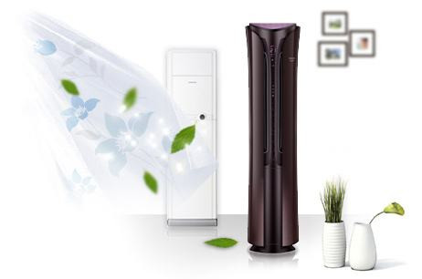 居家必備，三分鐘教您甲醛治理六大招！