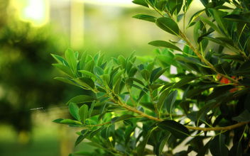 杭州空氣檢測(cè)公司最不推薦的除甲醛方法！