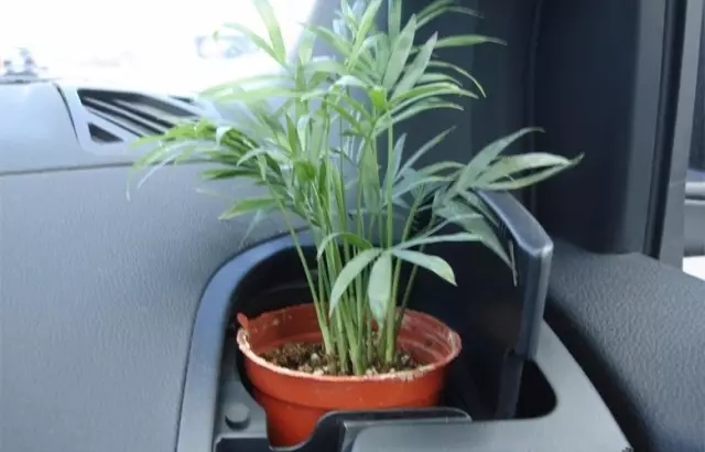 新車除醛，車內(nèi)除甲醛什么辦法***？