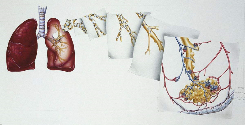 如何進行甲醛治理?沒有治理過的空氣就像虐待肺 如何進行甲醛治理?沒有治理過的空氣就像虐待肺