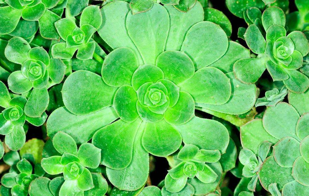 這樣去甲醛，您將親手“毀掉”自己的室內(nèi)空氣環(huán)境，今天再忙也要看一下！