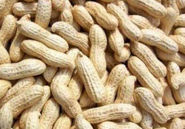 水煮花生含甲醛？實測多家燒烤店結果太可怕！