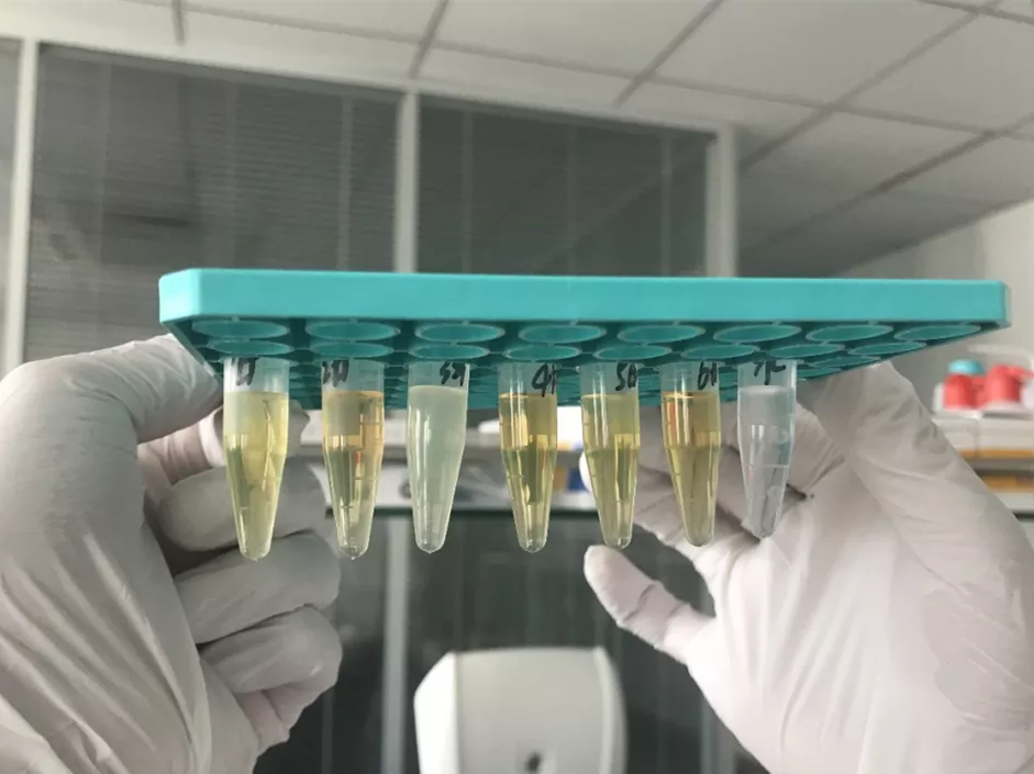 水煮花生含甲醛？實測多家燒烤店結果太可怕！