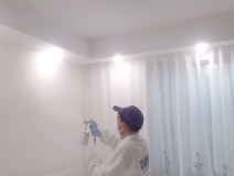 什么辦法去除甲醛比較好?