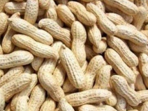 水煮花生含甲醛?實測多家燒烤店結果太可怕!