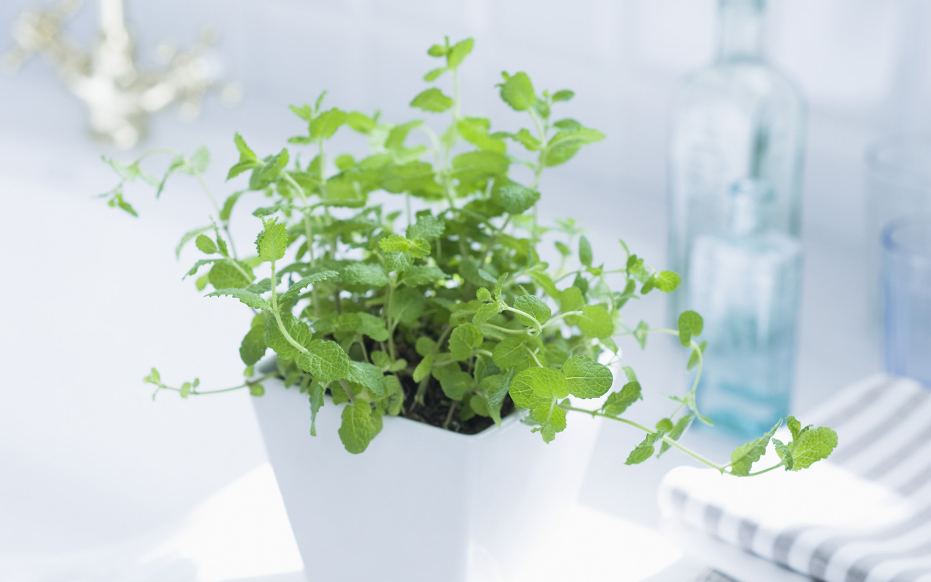 央視***主持人朱迅因癌癥離開大屏幕，這7個壞習慣最容易得癌癥！